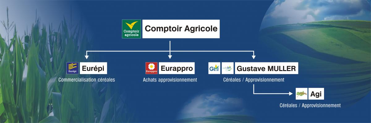 Organigramme des sociétés du Groupe Comptoir Agricole